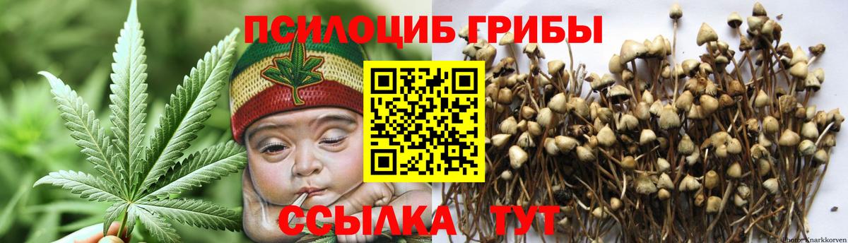 Владимир  Псилоцибиновые грибы мицелий  Вход с VPN 