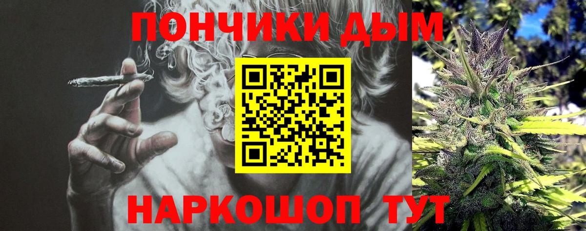 Владимир  Конопля SATIVA & INDICA  Канабис LSD WEED  Вход с VPN  Канабис планчик  Марихуана VHQ 